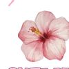 brianna_welson_