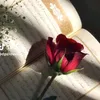 nnjjx61