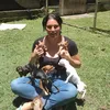 Mini Pinscher oficial