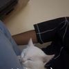 _evv9