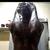 guigoat16