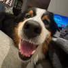 elliot2916