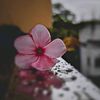 rama__awad