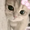 .ali.xa