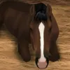 lulana_silvar0