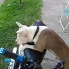 ruben.gomez513