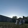 _.hpk_