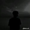 a____2l