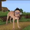 bro_receta_31mn