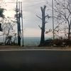 rarr_322