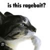 raert10