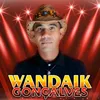wandaik.goncalvesoferade