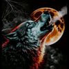 wolf0758