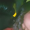 .privvisa_