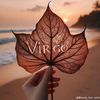 bocill.virgo19