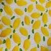 artsylemon