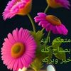 20934576jhui