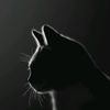 topann17_