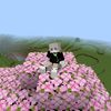 felboi.craft