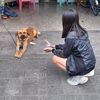 yomila_1225