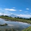 petani.sukses363