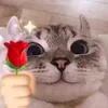 oioioibaka427