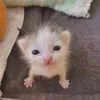 hquynh_25