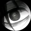 blagunara8