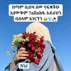 nejat.nejat