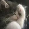taolathaoviiiiiiii