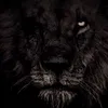 leocodmofficial
