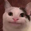 hoangdepzaiii604