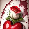 rana.fizan574