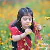 muhammad.tariq31483