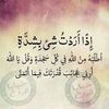 711988dania