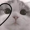 amyy_roblox124