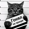 pozivnoimaloy