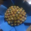 thutrangpham29