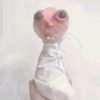peebeelbooopa