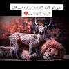 user61671950358320