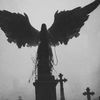 urvimpire_