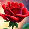 user6051155478605