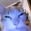kirmelyte.lt