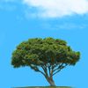 ourplanet057