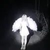 angel_wings035