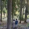 musa_imran_02