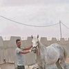 mebarek.max