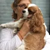 marieybedog