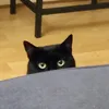 hellzieut2