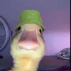 sara_fa16